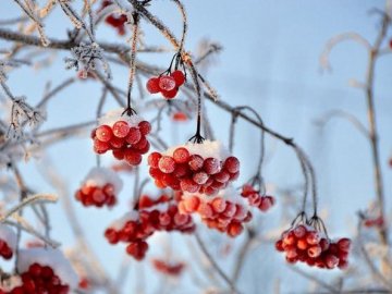 Погода в Луцьку та Волинській області на п'ятницю, 4 грудня