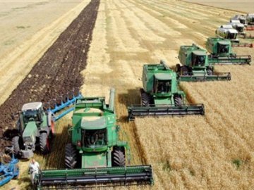 Українські аграрії встановили експортний рекорд