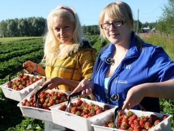 Українські заробітчани рятують польський ринок праці - експерт
