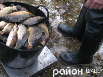 У волинське озеро випустили майже тонну риби