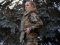 В Україні сертифікували перший бронежилет для жінок-військових