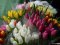 «Квітковий ажіотаж» у Луцьку до Дня Валентина: на скільки зросли ціни