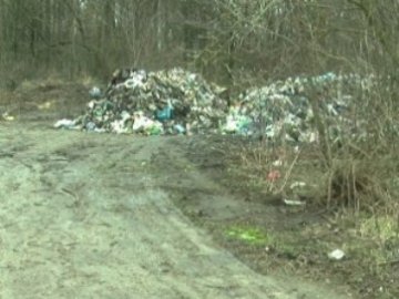У селі поблизу Луцька викинули дві фури «чужого» сміття