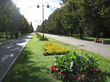 Луцький парк за 200 тисяч гривень засадять квітами