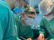Де беруть органи та чи можна пересадити голову: волинський лікар – про особливості трансплантології 
