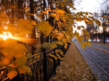 Погода в Луцьку та Волинській області на вихідні, 26 і 27 жовтня