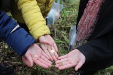 Волинські та білоруські діти прибирали береги річки в лісі. ФОТО