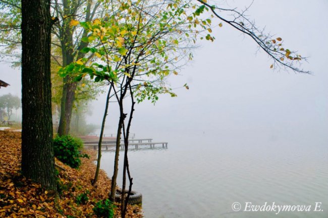 Магічна краса волинського озера, закутаного у туман. ФОТО 