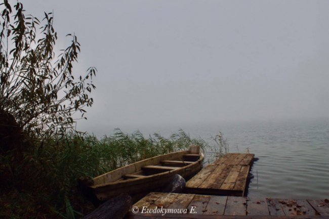 Магічна краса волинського озера, закутаного у туман. ФОТО 