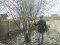 Волинянин, який майже 20 років працював прикордонником, вирощує фундук та «адамове» дерево