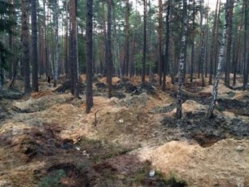 Як виглядає волинський ліс після «роботи» бурштинокопачів. ВІДЕО