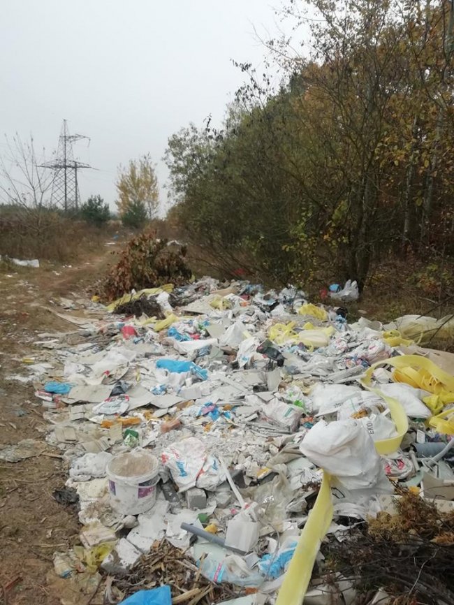 Замість грибів – купи «свіжого» сміття: у селі під Луцьком знайшли стихійне звалище. ФОТО