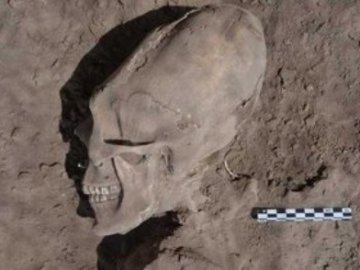 Мексиканські археологи знайшли череп «інопланетянина»