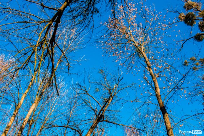 Луцьк в останній осінній день. ФОТОРЕПОРТАЖ