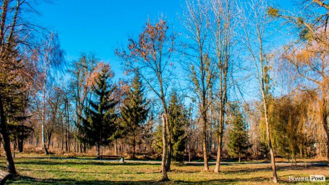 Луцьк в останній осінній день. ФОТОРЕПОРТАЖ