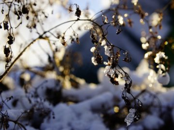 Погода в Луцьку та Волинській області на вихідні, 11 і 12 січня