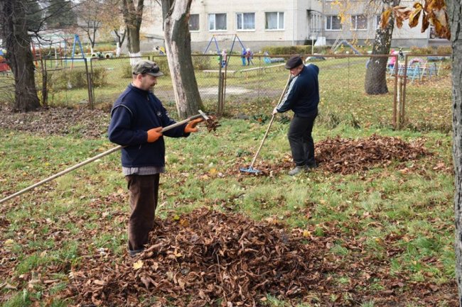 У волинському селищі влаштували осінню толоку. ФОТО