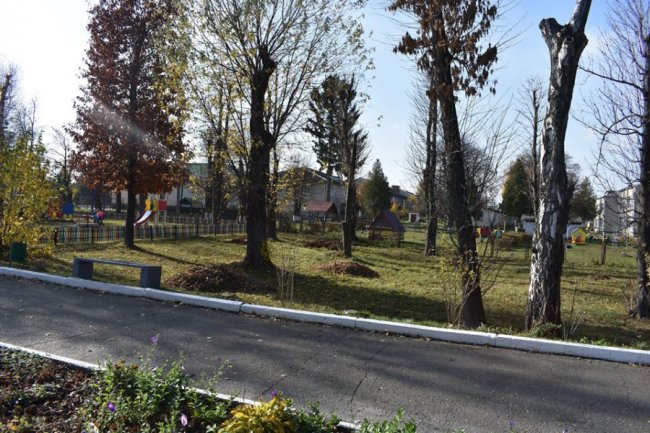 У волинському селищі влаштували осінню толоку. ФОТО