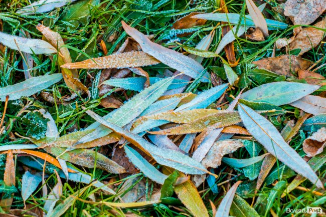 Луцьк в останній осінній день. ФОТОРЕПОРТАЖ