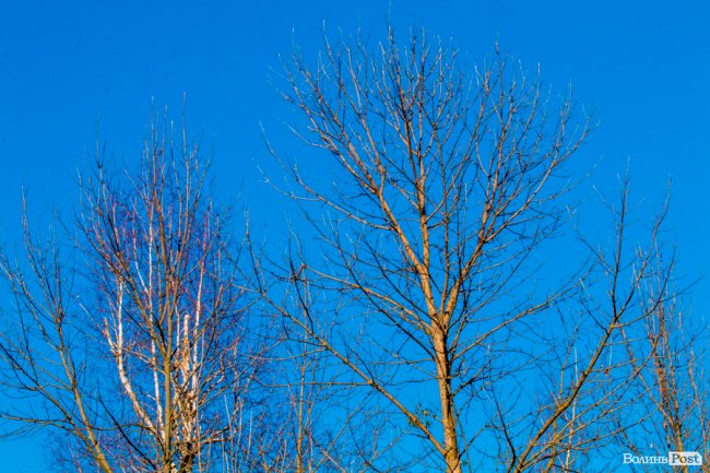 Луцьк в останній осінній день. ФОТОРЕПОРТАЖ