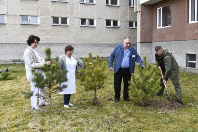 Біля лікарні у Боголюбах посадили парк для реабілітації українських воїнів. ФОТО
