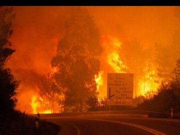 У Португалії від лісових пожеж загинули 43 людини