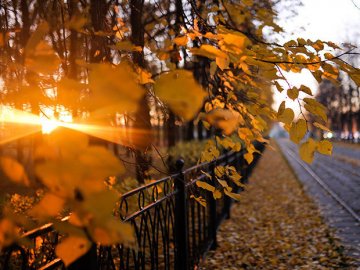Погода в Луцьку та Волинській області на п’ятницю, 6 листопада