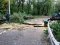 Негода в Україні: двоє людей загинуло, повалені дерева та зірвані дахи