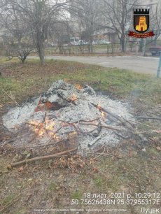 У Луцьку оштрафували двірника, який палив гілля та листя. ФОТО