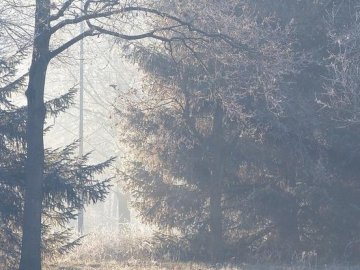 На півдні Чехії вдарили рекордні морози