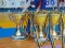 Волинські дзюдоїсти здобули дві «бронзи» на кубку України