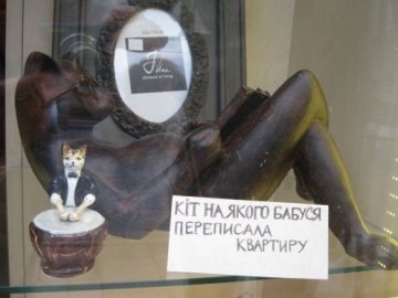 Котів, на яких «переписали хату», розкуповують у Львові