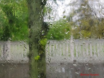 Луцький фотограф поділився «дощовими» світлинами