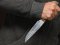 Ударив собаку ножем: судитимуть 27-річного волинянина за жорстоке поводження з твариною