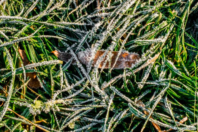 Луцьк в останній осінній день. ФОТОРЕПОРТАЖ