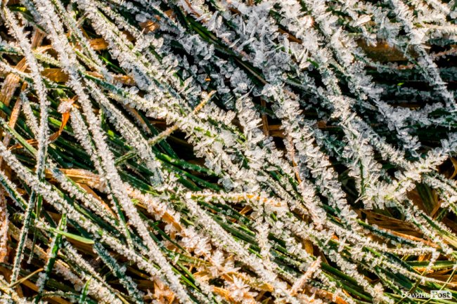 Луцьк в останній осінній день. ФОТОРЕПОРТАЖ