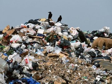 Львівське сміття будуть вивозити за кордон