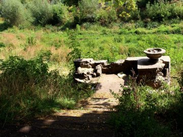 Ботанічний сад біля Сапалаївки в Луцьку не відновлять