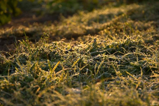 Волинянин поділився неймовірними світлинами морозного осіннього ранку