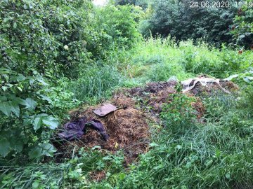 Відходи, перегній, гілля і скошена трава: біля Стиру у Луцьку виявили незаконне сміттєзвалище