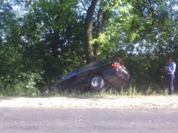 На Володимирській трасі BMW влетіло у дерево. ФОТО