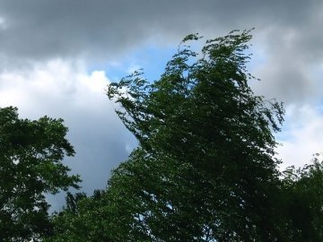 Прогноз погоди у Луцьку на четвер, 1 серпня