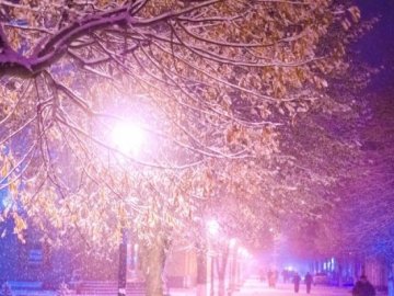 У Луцьку влаштують «халявну» екскурсію зимовим містом