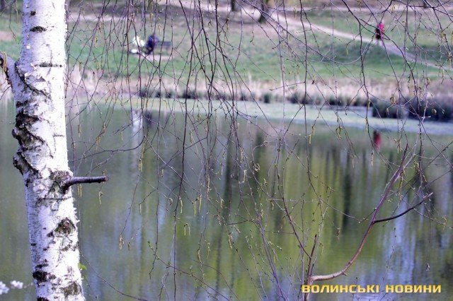 Природа ожила: показали весняні фото луцького парку