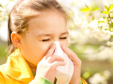 Як побороти алергію: поради лікарів