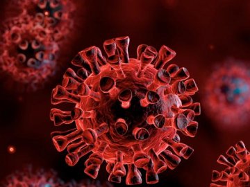 Дві смерті і 48 нових інфікованих: ситуація з коронавірусом на Волині за останню добу