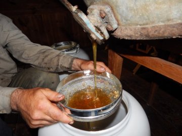 У волинському лісгоспі за рік викачали 615 кілограмів меду. ФОТО
