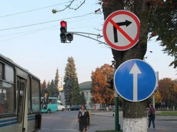 У Володимирі-Волинському дорожні знаки ростуть на деревах