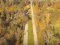 Неймовірні краєвиди: показали парк Луцька з висоти пташиного польоту. ВІДЕО