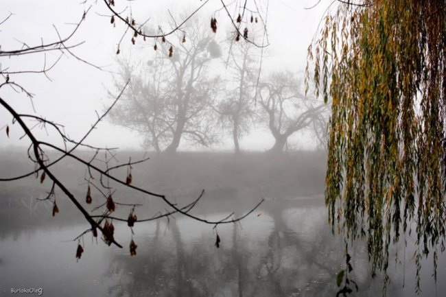 Фото загадкового туману в Луцьку